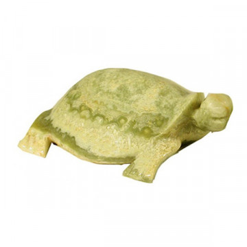 Pakistan Onyx Turtle, Multigreen 10cm