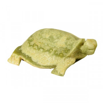 Tortue onyx Pakistan Multigreen 10cm