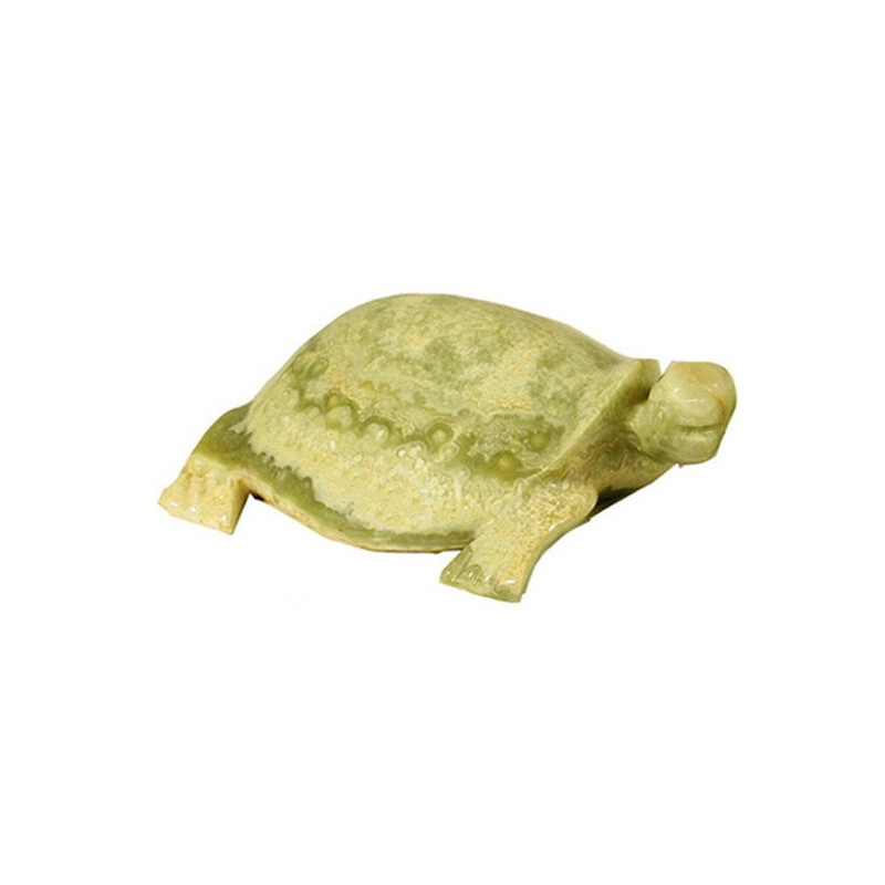 Pakistan Onyx Turtle, Multigreen 10cm Pakistan Onyx Turtle, Multigreen 10cm