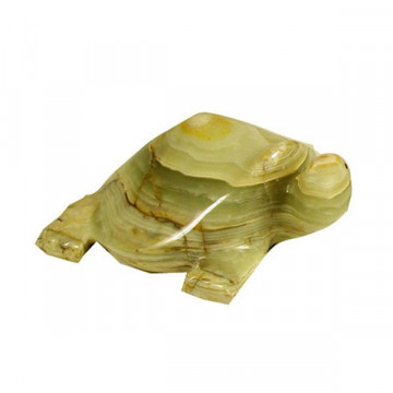 Tortue onyx Pakistan Multigreen 8cm