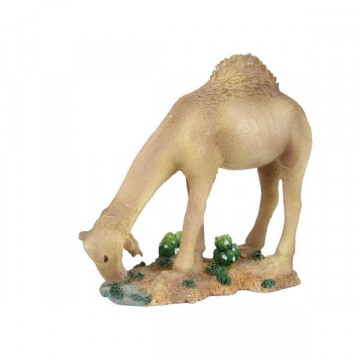 Resin camel 12x12cm