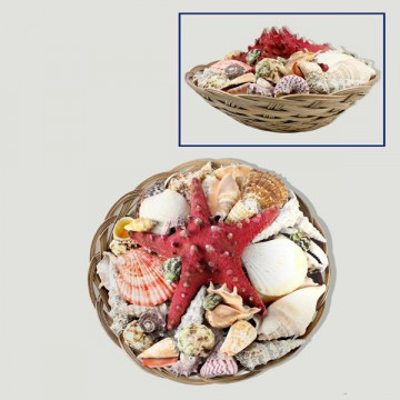 Basket of shells and knotty starfish 30cm