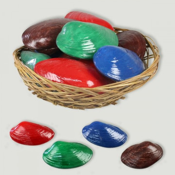 Coquillages de couleurs assort.