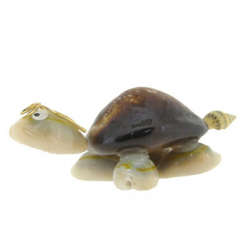 Caput turtle simple with sunglasses 3cm