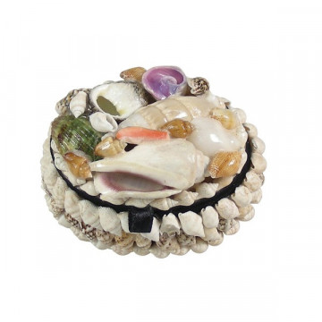 Nacre/seashells oval box 6cm approx