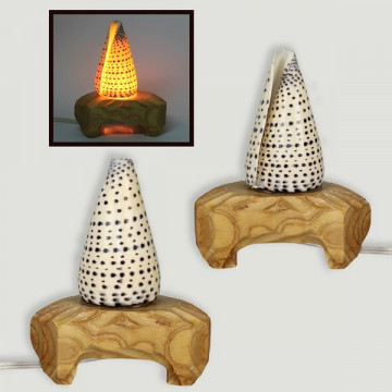Seashells lamp. Various models