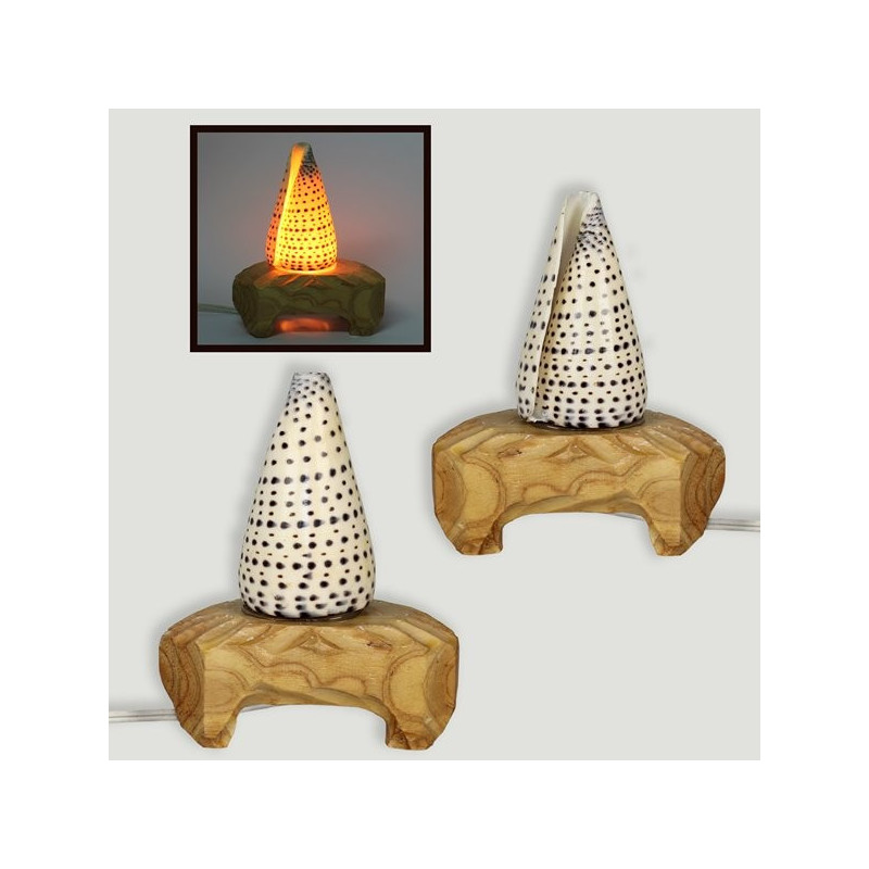 Seashells lamp. Various models Seashells lamp. Various models