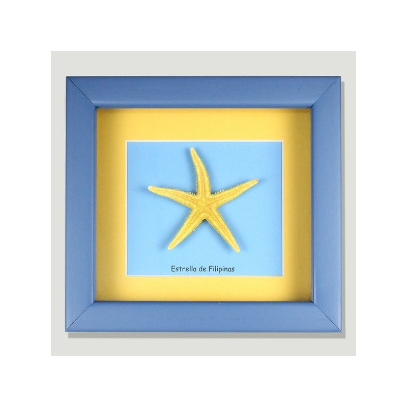 Frame Babyflat flat star Frame Babyflat flat star