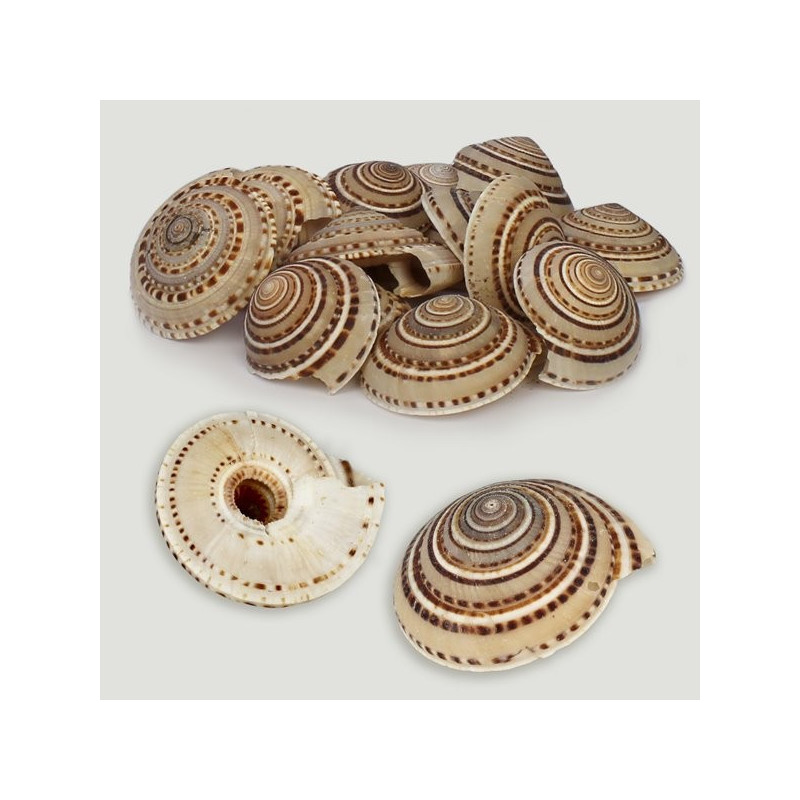 Architectonique Sp. Naturel assort. Sac de 1kg Architectonique Sp. Naturel assort. Sac de 1kg