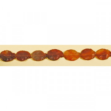 Agate cornelian natural strip ho 20x30mm