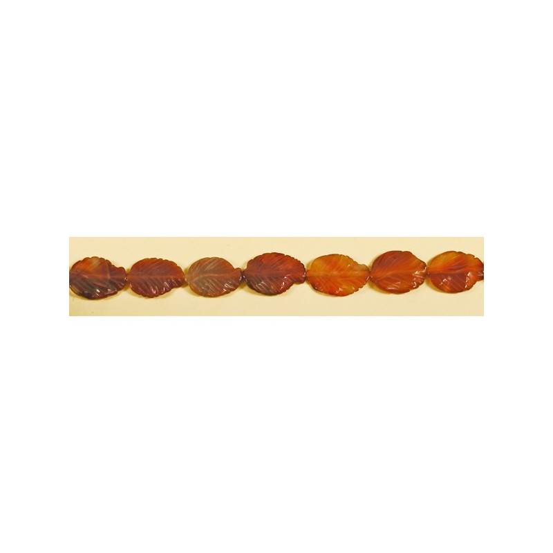 Agate cornelian natural strip ho 20x30mm Agate cornelian natural strip ho 20x30mm