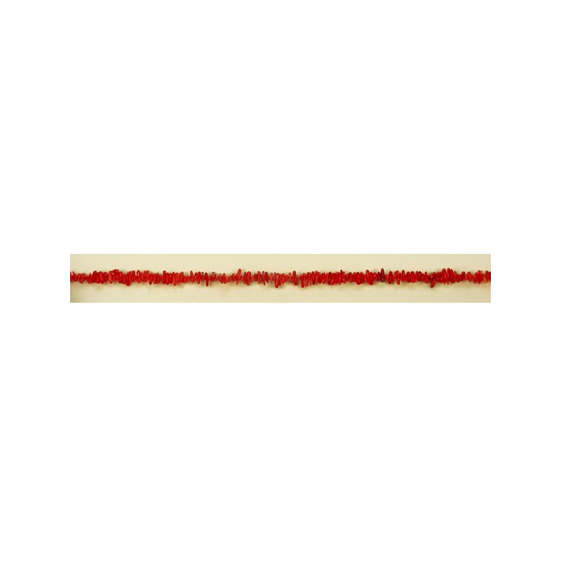 Coral bamboo red strip red branch Coral bamboo red strip red branch