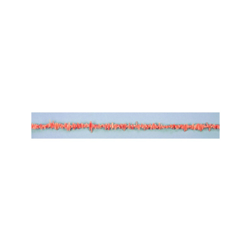 Red bamboo coral strip pink branch Red bamboo coral strip pink branch