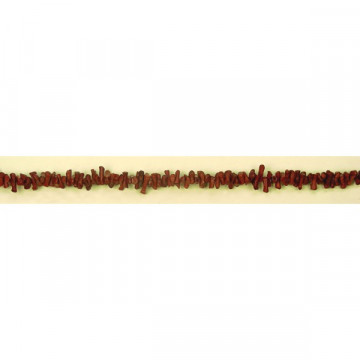 Coral apple strip mini branch