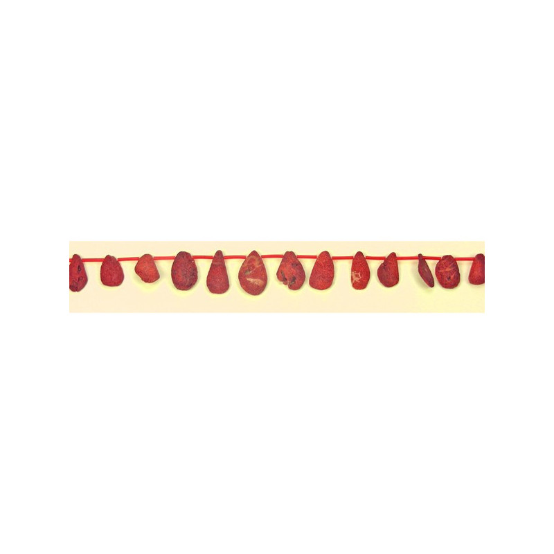 Rustic apple coral horn strand med var Rustic apple coral horn strand med var