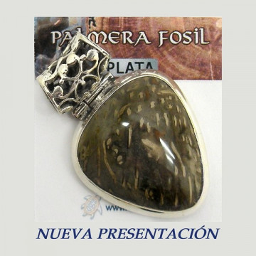 Silver pendant. FOSSIL PALM. 15 to 20gr.