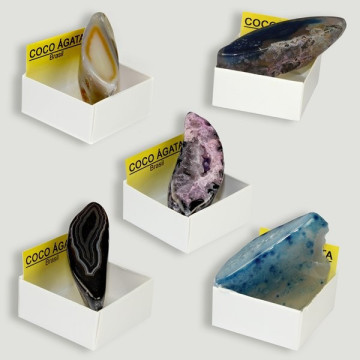 Cajita 4x4 - Coco Agata - Brasil