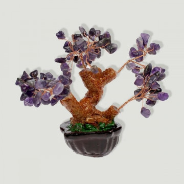 Bonsai amatista mini 12cm aprx