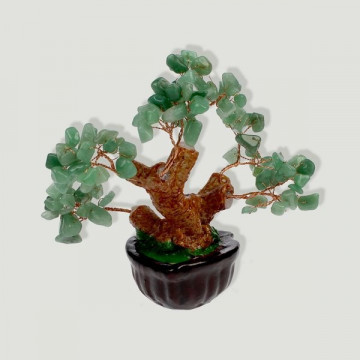 Bonsai aventurina mini 12cm aprx