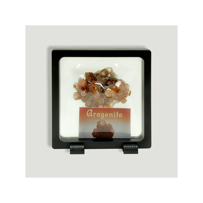 Marco adaptable Arragonito piña 9x9cm Marco adaptable Arragonito piña 9x9cm