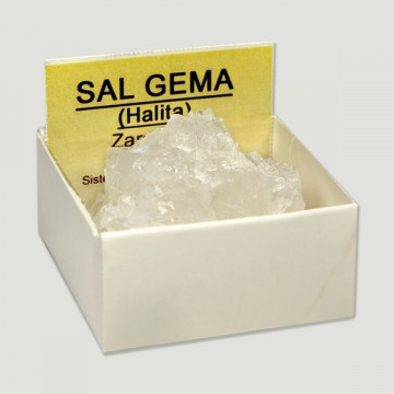 4x4 - Sal Gema - Zaragoza