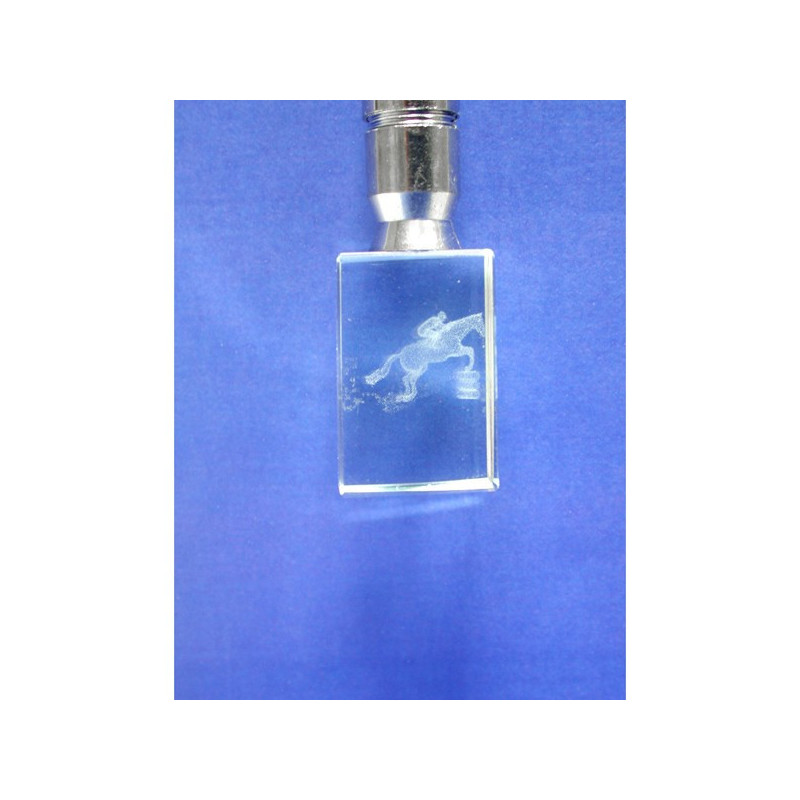 Llavero cristal c/ luz hipica Llavero cristal c/ luz hipica