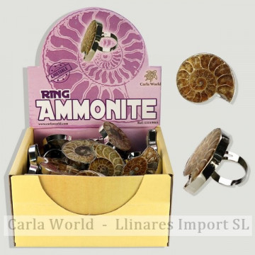 Display AMMONITE. Anillo fosil