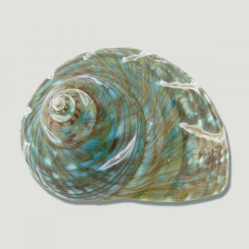 Turbo burgues espiral 10cm