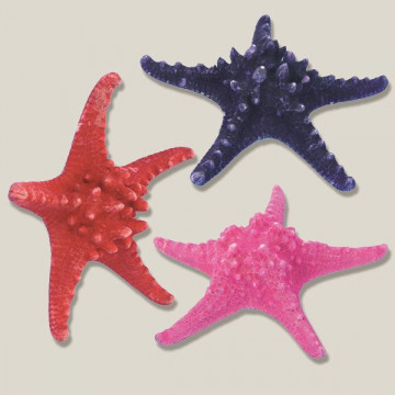 Estrella de Mar color surtido 15-20cm