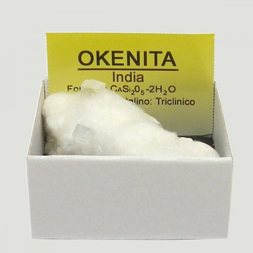 4x4 – Okenita-India