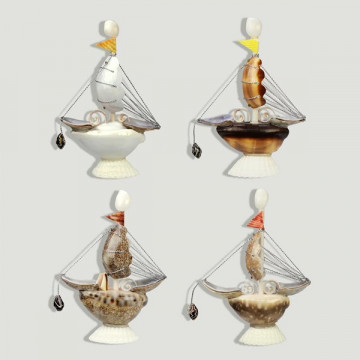 Barco conchas Cypraea sp. 1 vela