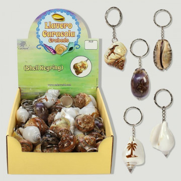 SHELL KEYRING. Display Llavero Conchas grabado modelos surtidos