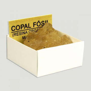 Cajita 4x4 – Copal Fosil - Marruecos