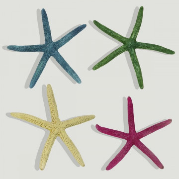 Estrella Mar punta. Colores surtidos. 10-15cm