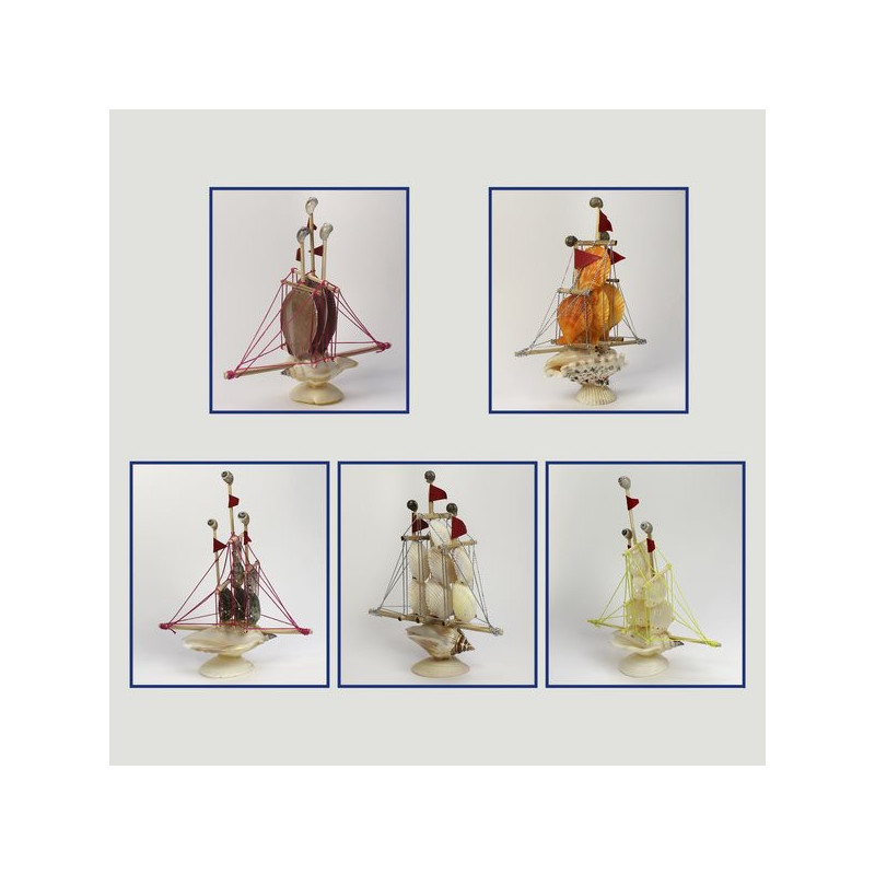 Barco concha Nobiles, Abalon y Lunasol. 14x16cm Barco concha Nobiles, Abalon y Lunasol. 14x16cm