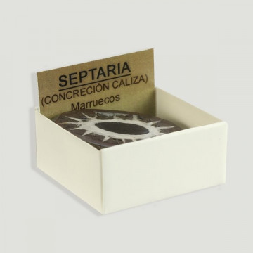 Cajita 4x4 - Septaria pulida – Marruecos
