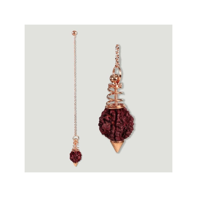 SEMILLA SAGRADA RUDRAKSHA. Pendulo con metal SEMILLA SAGRADA RUDRAKSHA. Pendulo con metal