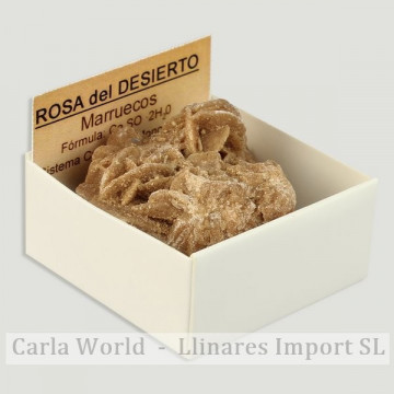 Cajita 4x4 - Rosa del Desierto - Marruecos