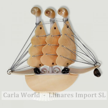 Barco conchas Pteria sp. 13x12cm