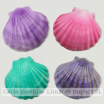 Pecten nobilis color 12cm aprox