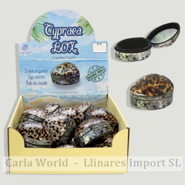 CYPRAEA BOX. Cajita Cypraea Tigris 5-7cm aproximadamente