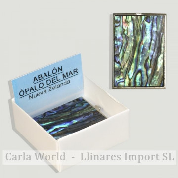 Cajita 4x4 – Abalón Ópalo - Mar Nueva Zelanda