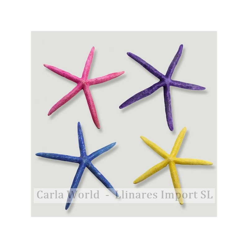 Set No. 08 – Modelo Estrella de Mar Punta, surtidas Set No. 08 – Modelo Estrella de Mar Punta, surtidas