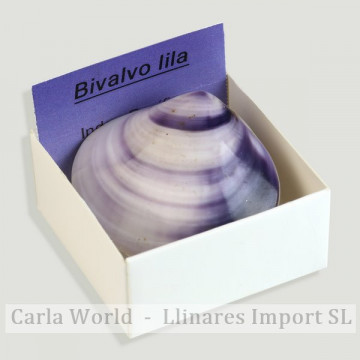 4x4 box - Bivalvo lila