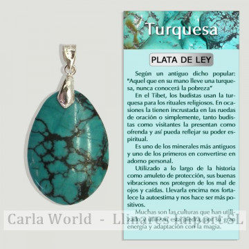 TURQUOISE. SILVER pendant....