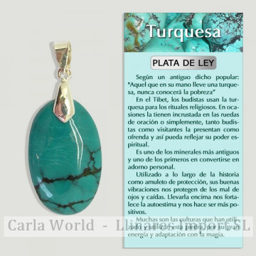 TURQUOISE. SILVER pendant....