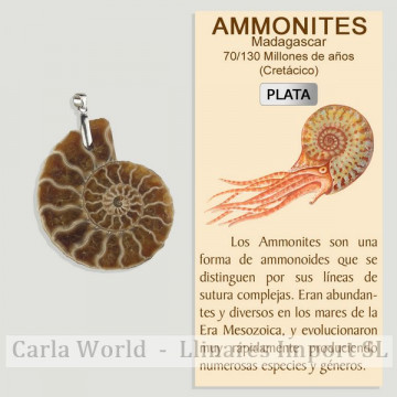 AMMONITE. SILVER Pendant