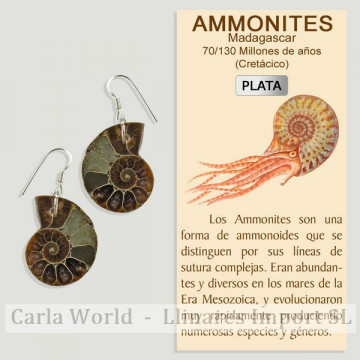 AMMONITE. SILVER earrings....