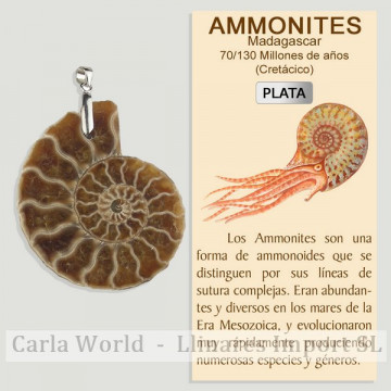 AMMONITE. Pendant in SILVER.