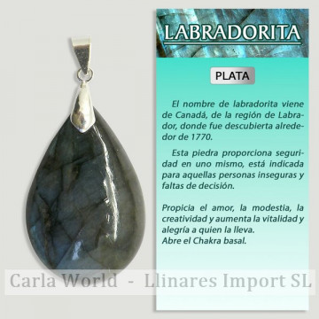 LABRADORITE. Pendentif...